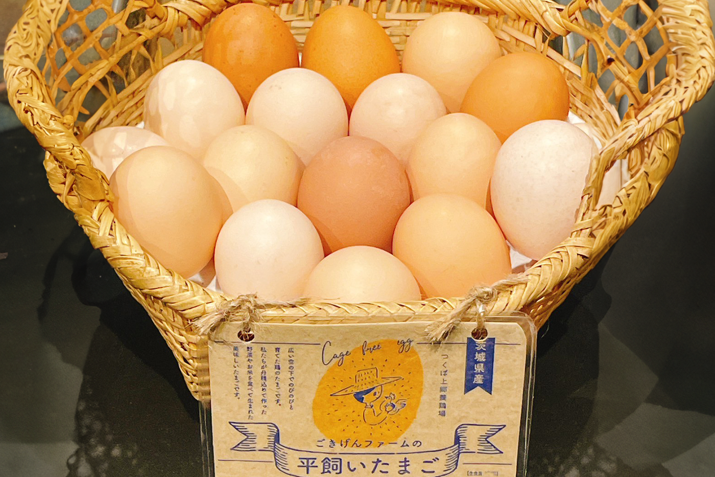 concept_egg
